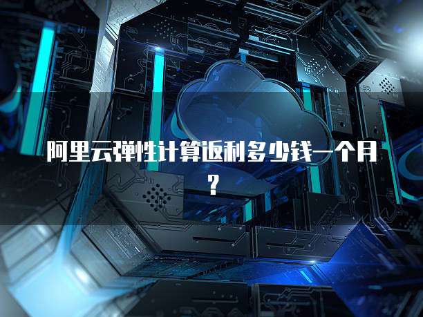 阿里云弹性计算返利多少钱一个月?