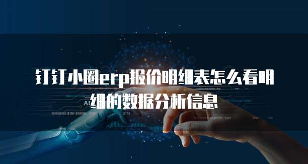 钉钉小圈ERP报价明细表怎么看明细的数据分析信息