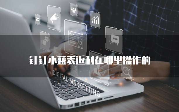 钉钉小蓝表返利在哪里操作的