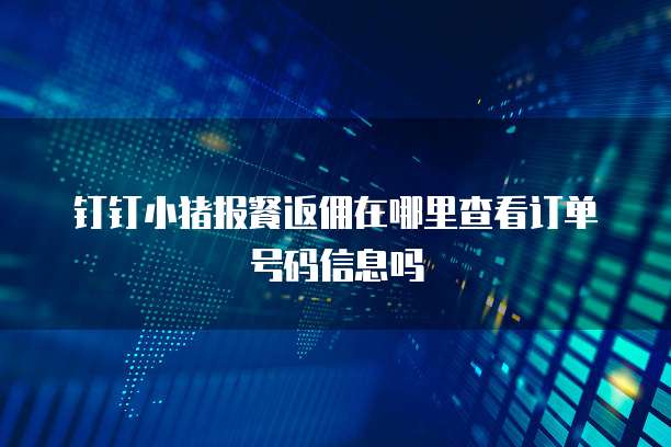 钉钉小猪报餐返佣在哪里查看订单号码信息吗