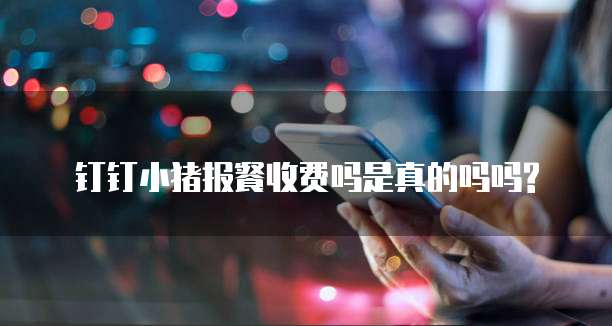 钉钉小猪报餐收费吗是真的吗吗?