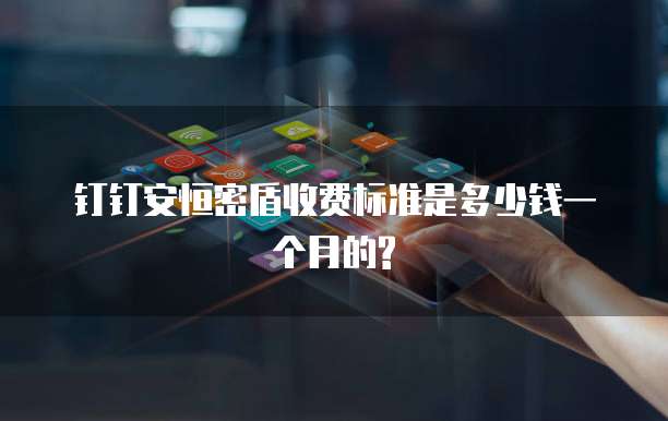 钉钉安恒密盾收费标准是多少钱一个月的?