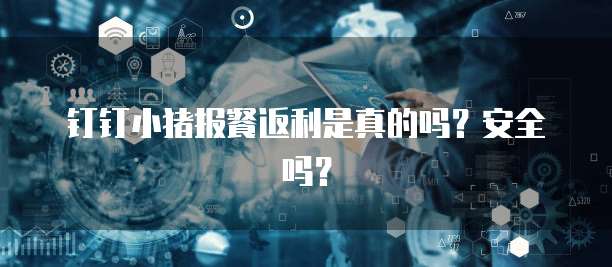 钉钉小猪报餐返利是真的吗?安全吗?
