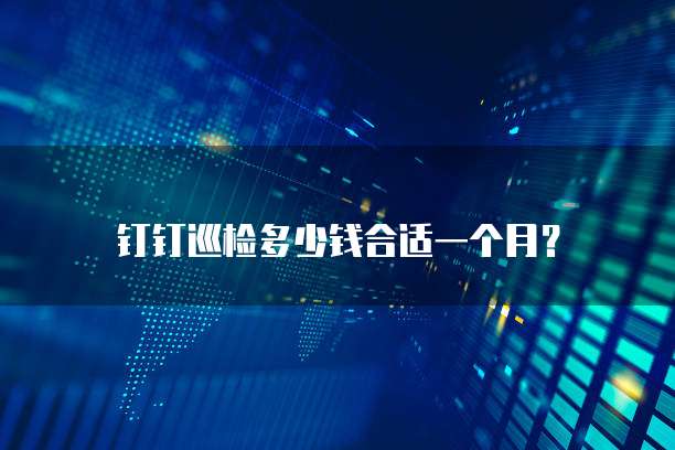 钉钉巡检多少钱合适一个月?
