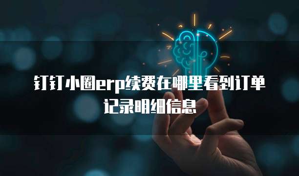 钉钉小圈erp续费在哪里看到订单记录明细信息