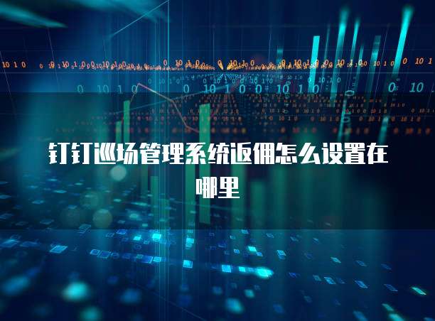 钉钉巡场管理系统返佣怎么设置在哪里
