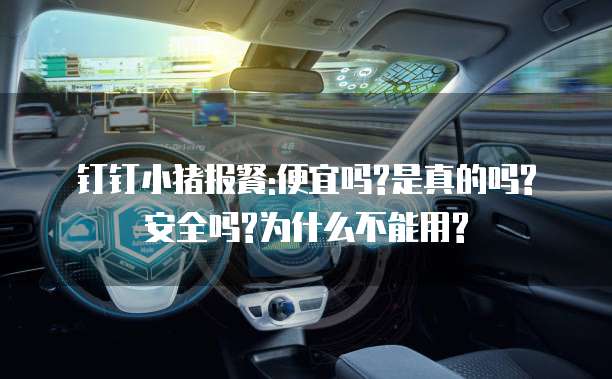 钉钉小猪报餐:便宜吗?是真的吗?安全吗?为什么不能用?