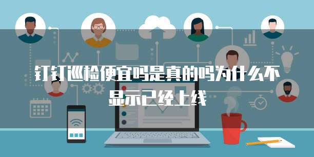 钉钉巡检便宜吗是真的吗为什么不显示已经上线