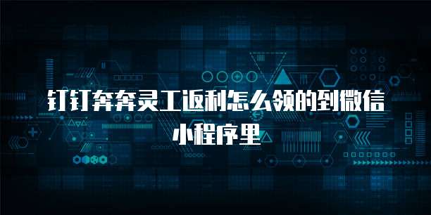 钉钉奔奔灵工返利怎么领的到微信小程序里