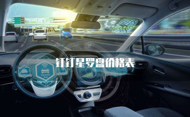钉钉星罗盘价格表