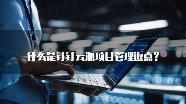 什么是钉钉云派项目管理返点?