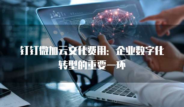 钉钉微加云文化费用:企业数字化转型的重要一环