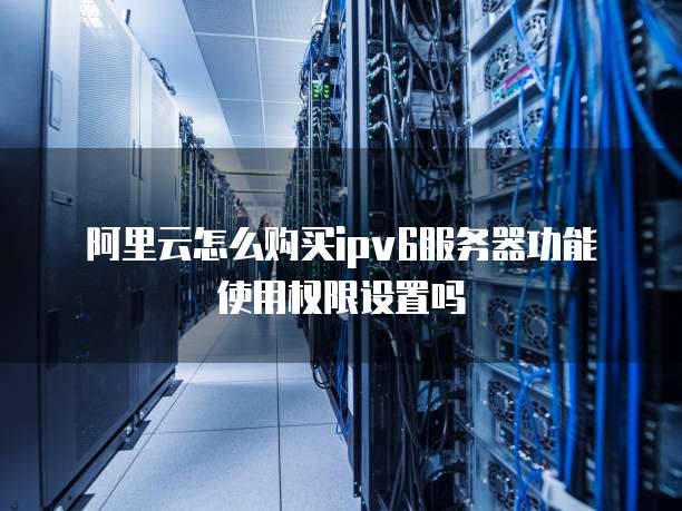 阿里云怎么购买ipv6服务器功能使用权限设置吗