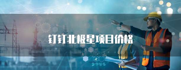 钉钉北极星项目价格