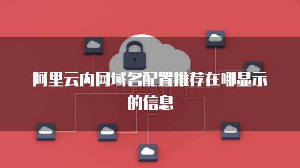 阿里云内网域名配置推荐在哪显示的信息