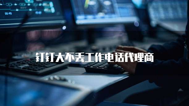 钉钉大不丢工作电话代理商