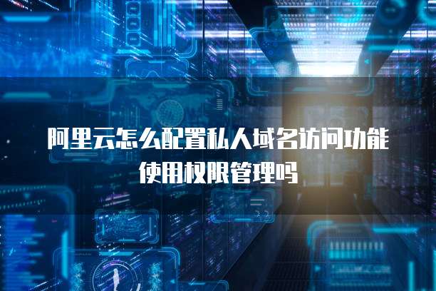 阿里云怎么配置私人域名访问功能使用权限管理吗
