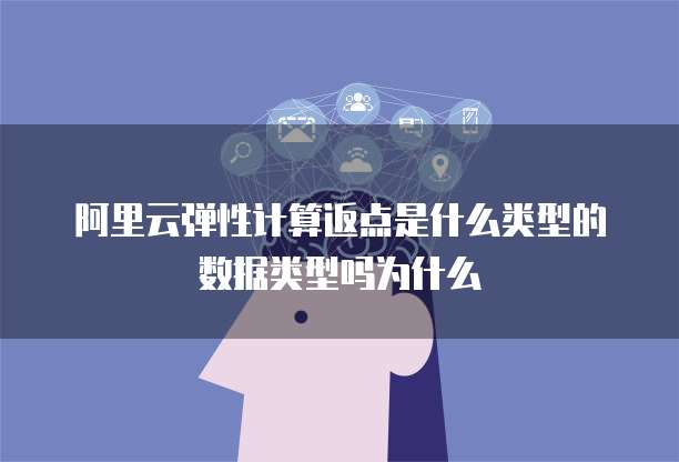 阿里云弹性计算返点是什么类型的数据类型吗为什么