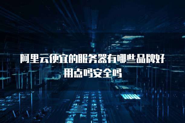 阿里云便宜的服务器有哪些品牌好用点吗安全吗