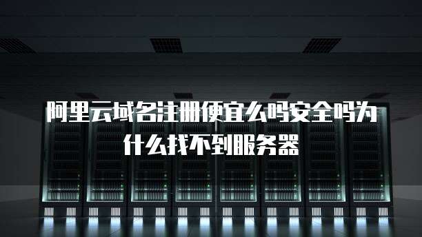 阿里云域名注册便宜么吗安全吗为什么找不到服务器