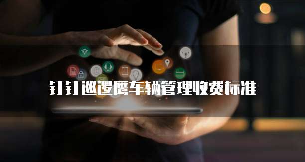 钉钉巡逻鹰车辆管理收费标准
