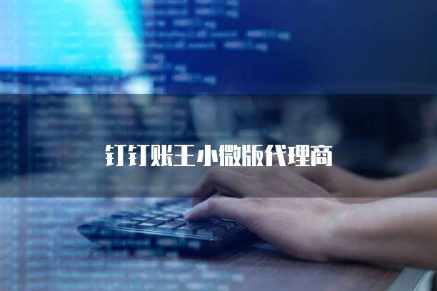 钉钉账王小微版代理商