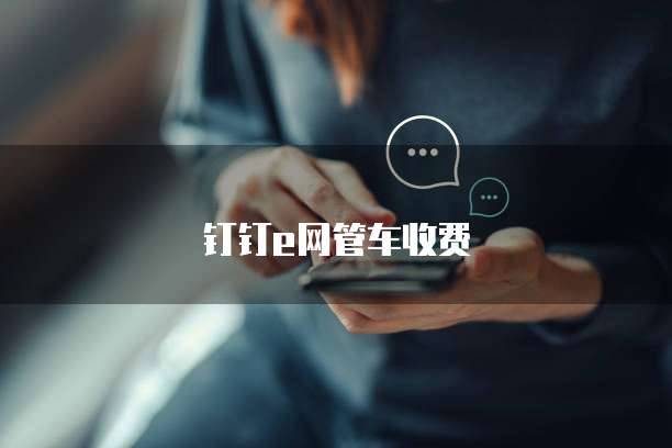 钉钉e网管车收费