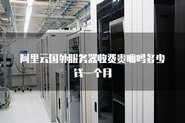 阿里云国外服务器收费贵嘛吗多少钱一个月