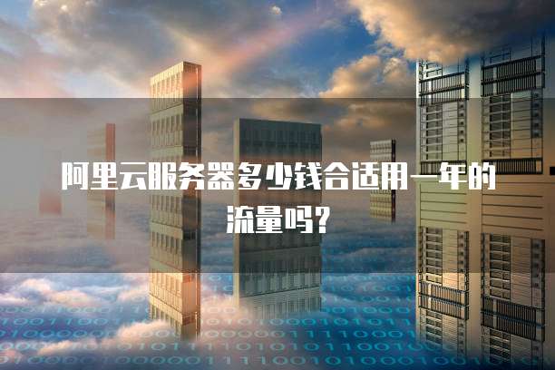 阿里云服务器多少钱合适用一年的流量吗?