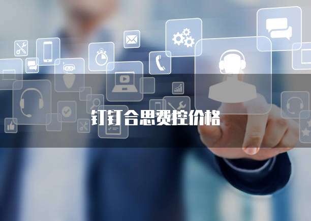 钉钉合思费控价格