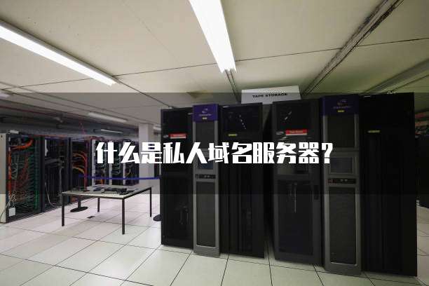 什么是私人域名服务器?