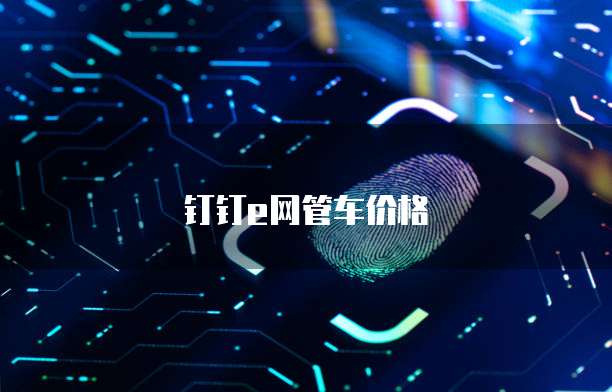 钉钉e网管车价格
