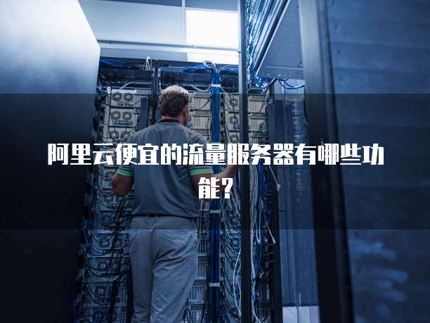 阿里云便宜的流量服务器有哪些功能?