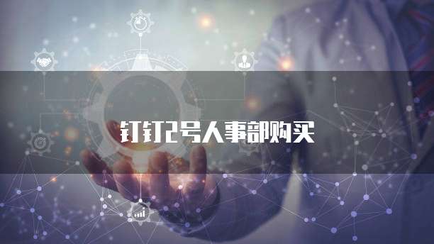 钉钉2号人事部购买