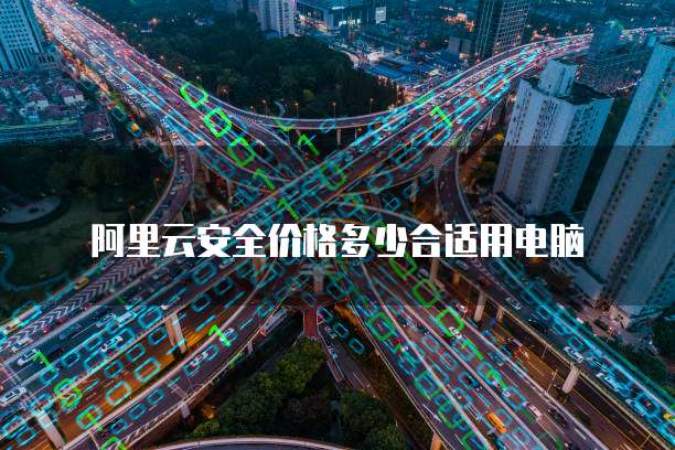 阿里云安全价格多少合适用电脑