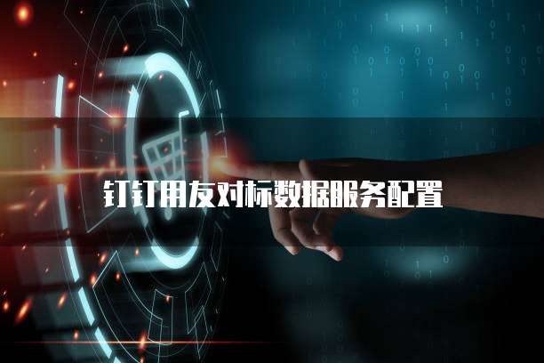 钉钉用友对标数据服务配置