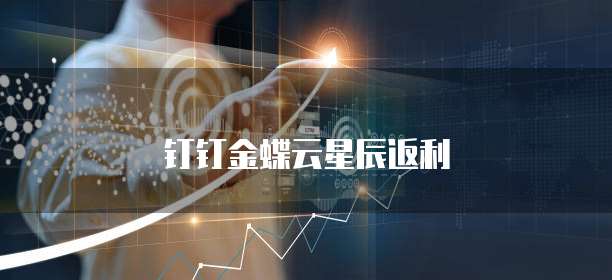 钉钉金蝶云星辰返利
