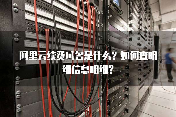 阿里云续费域名是什么?如何查明细信息明细?