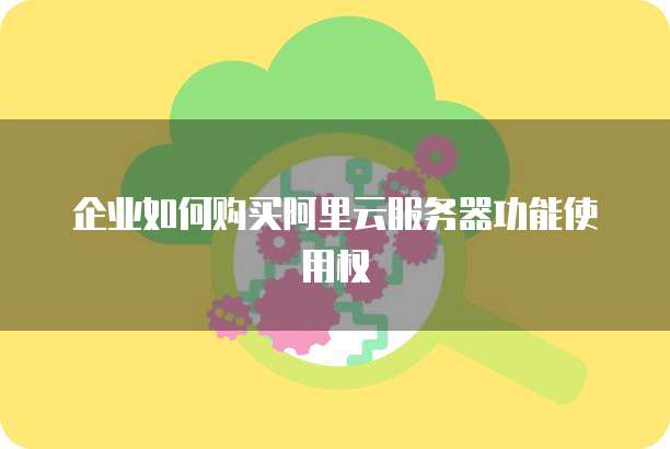 企业如何购买阿里云服务器功能使用权