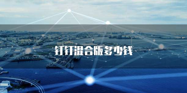 钉钉混合版多少钱