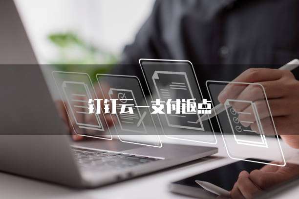 钉钉云一支付返点