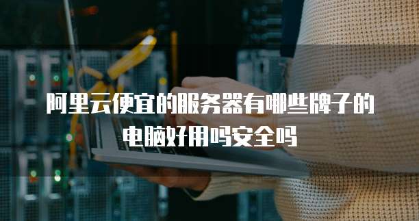 阿里云便宜的服务器有哪些牌子的电脑好用吗安全吗