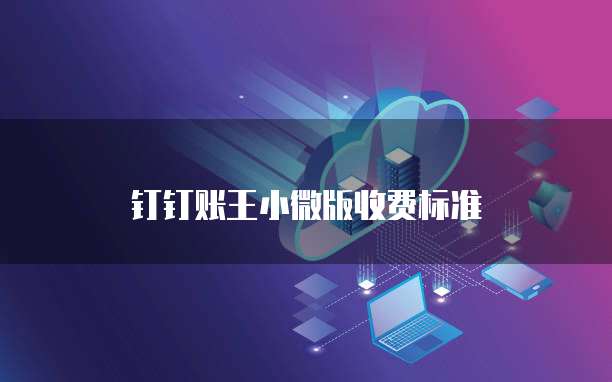 钉钉账王小微版收费标准