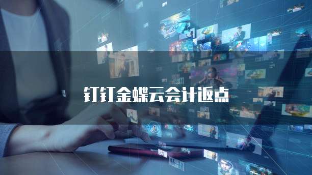 钉钉金蝶云会计返点