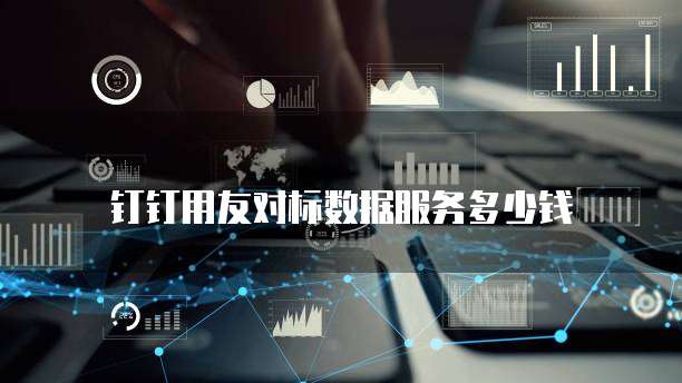 钉钉用友对标数据服务多少钱