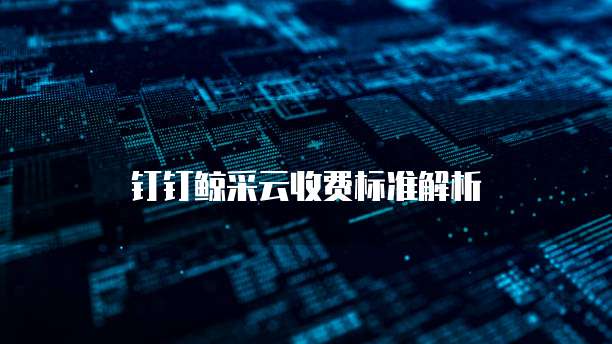 钉钉鲸采云收费标准解析