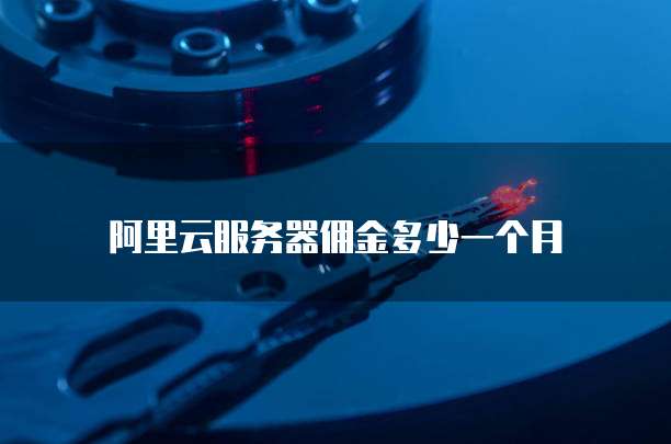 阿里云服务器佣金多少一个月