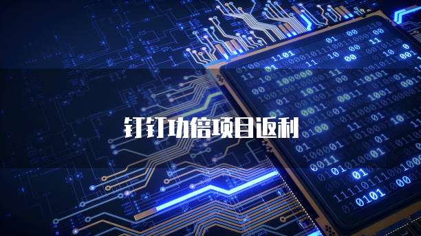钉钉功倍项目返利