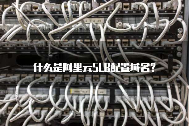 什么是阿里云SLB配置域名?
