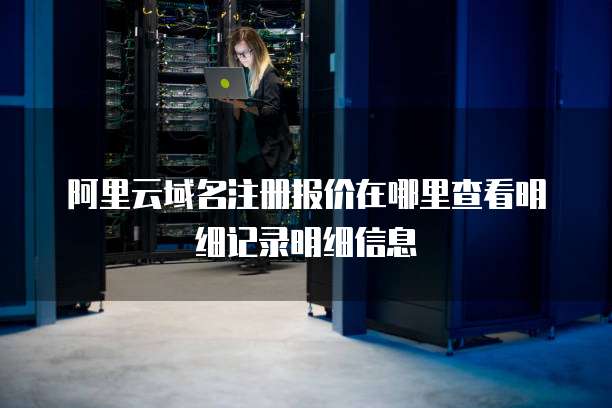 阿里云域名注册报价在哪里查看明细记录明细信息